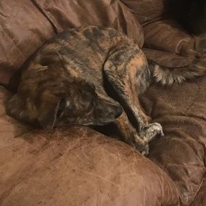 Meet your Posher, Rico